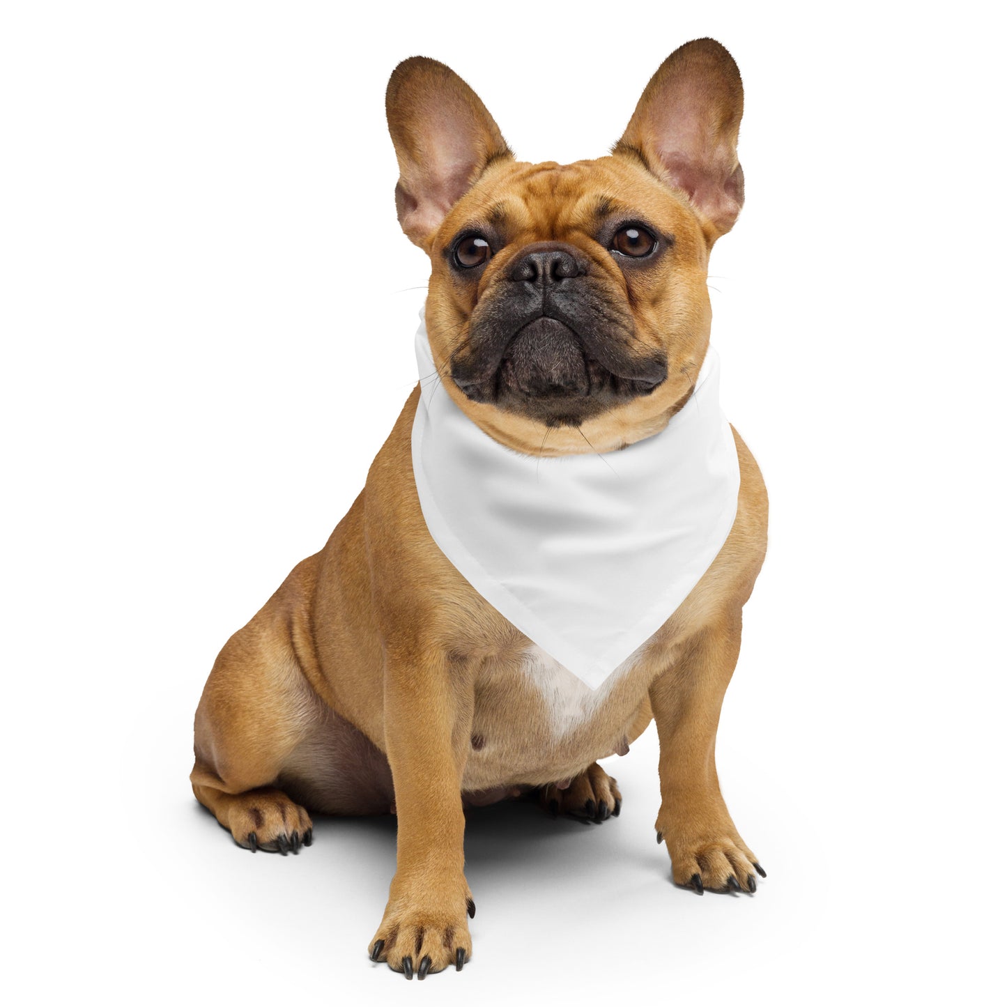CrazyJoy Bandana